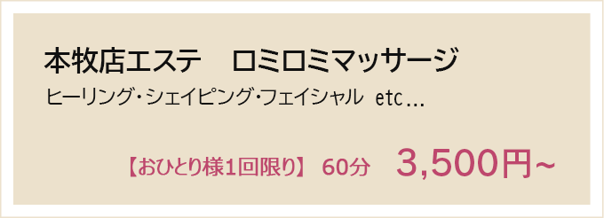 オーラ整体、体験コース ヨガインストラクターの整体 40分 3,500円